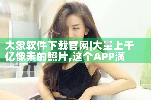 大象软件下载官网