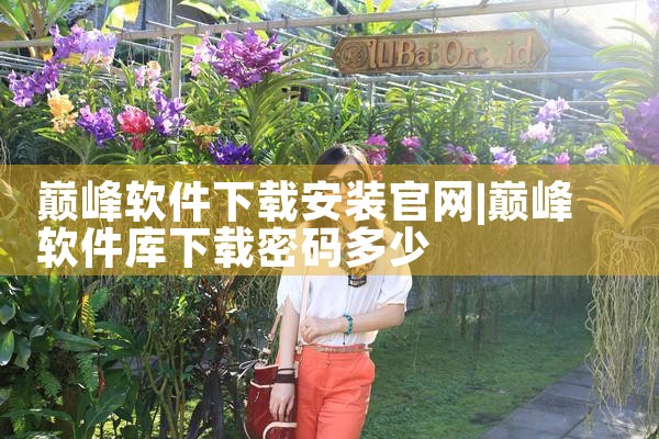 巅峰软件下载安装官网