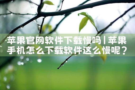 苹果官网软件下载慢吗