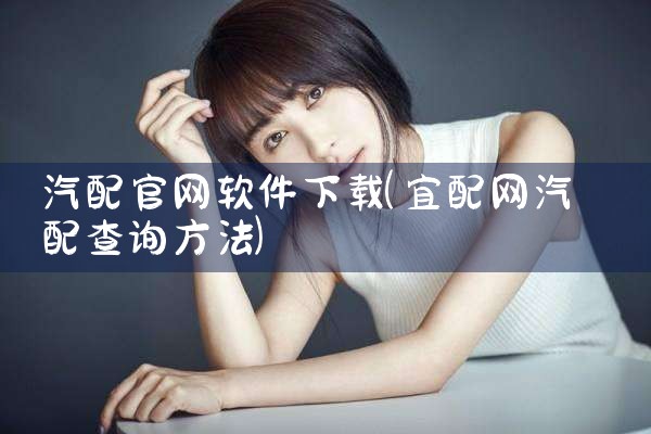 汽配官网软件下载