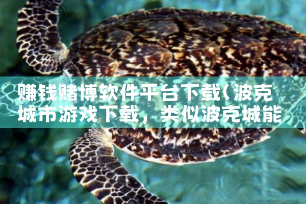 赚钱赌博软件平台下载