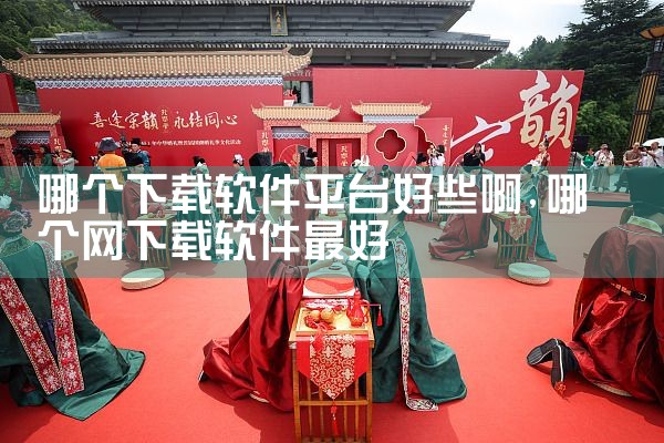 哪个下载软件平台好些啊