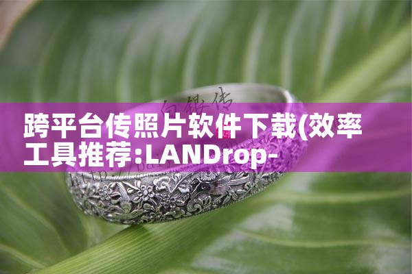 跨平台传照片软件下载