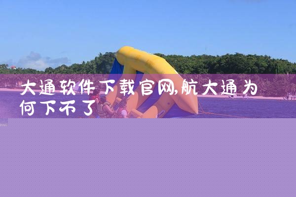 大通软件下载官网